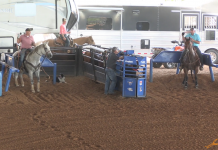 Coleman makes the NFR, and it comes down to one steer…