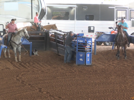 Coleman makes the NFR, and it comes down to one steer…