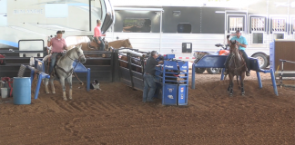 Coleman makes the NFR, and it comes down to one steer…