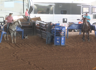 Coleman makes the NFR, and it comes down to one steer…