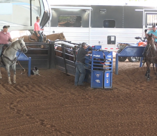 Coleman makes the NFR, and it comes down to one steer…