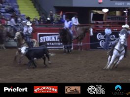 Cowtown Rodeo in Ft. Worth – 11/5/21