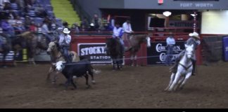 Cowtown Rodeo in Ft. Worth – 11/5/21