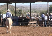 Rancho Rio and Downtown Arenas 11/30/21- #15, #14, #13, #12