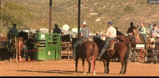 Downtown Arena – 11/29/21 – #13 Roping