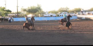 Dynamite Arena – 11/27/21 – #15, #14, #13, #12 ropings