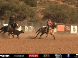 Thanksgiving & roping with Chance Kelton and family