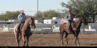 Arizona, a Team Roper’s Paradise