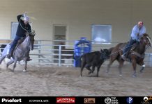 Visiting Dean Tuftin & DT Horses in Scottsdale