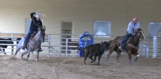 Visiting Dean Tuftin & DT Horses in Scottsdale