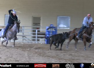 Visiting Dean Tuftin & DT Horses in Scottsdale