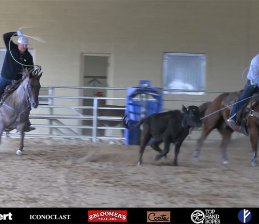 Visiting Dean Tuftin & DT Horses in Scottsdale