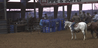 Speed and Gabe’s first Open roping together
