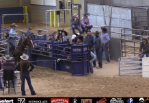 Hali’s Breakaway Runs at Three Star Memorial