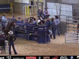 Hali’s Breakaway Runs at Three Star Memorial