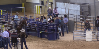 Hali’s Breakaway Runs at Three Star Memorial