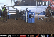 Getting ready for the American with the kids