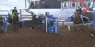 Getting ready for the American with the kids