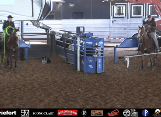 Getting ready for the American with the kids