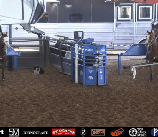 Getting ready for the American with the kids