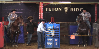 Top 30 Runs of American Rodeo