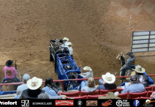 Speed and Gabe’s BFI Runs