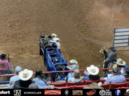 Speed and Gabe’s BFI Runs