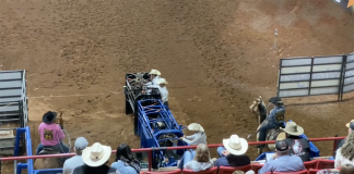 Speed and Gabe’s BFI Runs