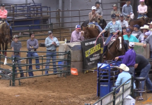 Hali Wins 2nd in 19 & Under at Joe Beaver’s Easter Roping
