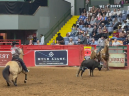 Speed and Gabe Qualify for WCRA in Corpus Christi