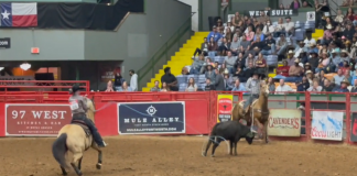 Speed and Gabe Qualify for WCRA in Corpus Christi