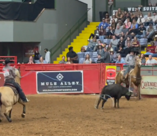 Speed and Gabe Qualify for WCRA in Corpus Christi