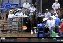 Hali Wins Joe Beavers Easter Roping Open – 4/16