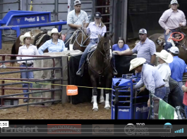 Hali Wins Joe Beavers Easter Roping Open – 4/16