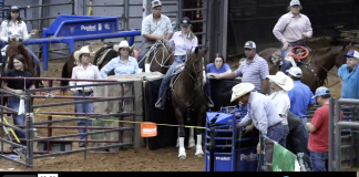 Hali Wins Joe Beavers Easter Roping Open – 4/16