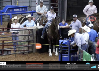 Hali Wins Joe Beavers Easter Roping Open – 4/16