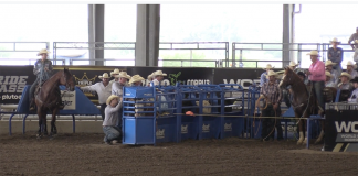 All you have to do is catch… WCRA Corpus Christi