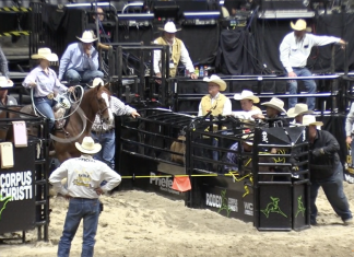 Hali is hitting the rodeo trail