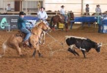 Keeping Your Kid’s Horses Working