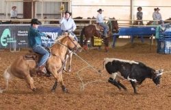 Keeping Your Kid’s Horses Working