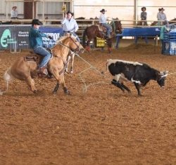 Keeping Your Kid’s Horses Working