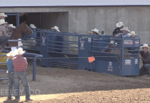 Hali’s rodeo runs week ending June 26th
