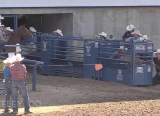 Hali’s rodeo runs week ending June 26th