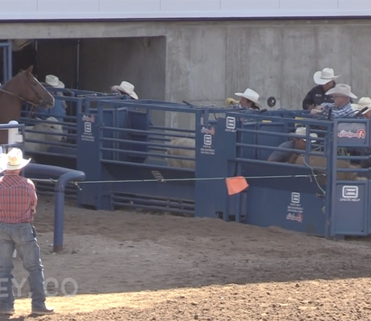 Hali’s rodeo runs week ending June 26th