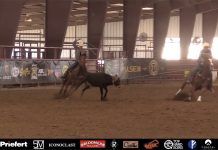 Gabe and I win our first Open roping, plus northside rodeo