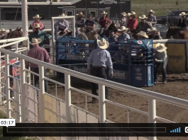 Hali’s runs at Greeley CO, Red Lodge MT and Oakley UT