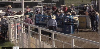 Back on the rodeo trail, but it’s not what you think