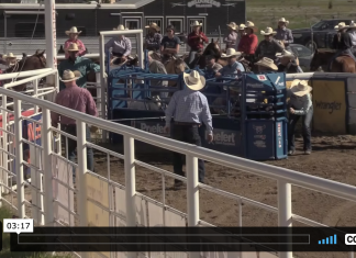 Back on the rodeo trail, but it’s not what you think