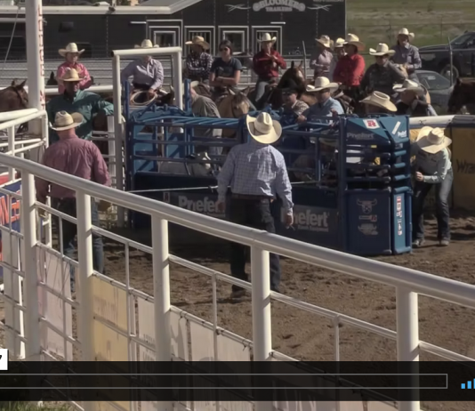 Hali’s runs at Greeley CO, Red Lodge MT and Oakley UT