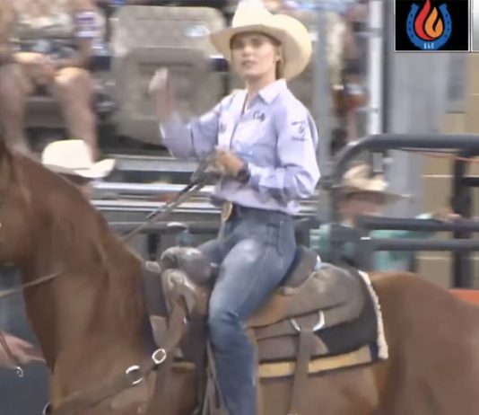 Ups and downs of rodeo